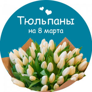 Купить тюльпаны в Тимашевске
